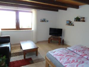 a living room with a bed and a flat screen tv at Ferienwohnung Urlaub mit Aussicht in Zenting