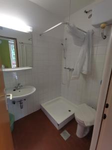 a bathroom with a shower and a toilet and a sink at Hostel pod Voglom in Bohinj +48 photos