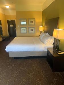 ein Hotelzimmer mit einem großen Bett und einem Schreibtisch in der Unterkunft Holiday Inn Express Hotel & Suites Lansing-Dimondale, an IHG Hotel in Dimondale