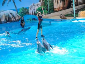 a woman standing on two dolphins in the water at Luxury Apartment, 3 min Walk to Beach, Albufeira in Guia