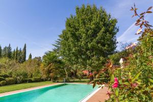 ein Pool im Garten mit einem Baum in der Unterkunft Ginestraio in Santalbino by VacaVilla in Sorrezzana
