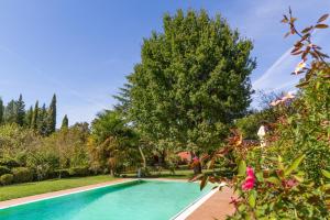 a swimming pool in a yard with a tree at Ginestraio in Santalbino by VacaVilla in Sorrezzana