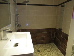 ein Badezimmer mit einem weißen Waschbecken und einer Dusche in der Unterkunft maison ancienne rénovée tout confort in Narcy