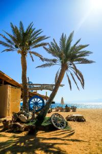 Снимка в галерията на Habiba Beach Lodge в Нувейба