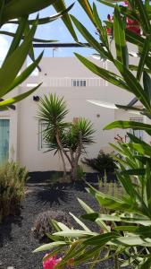 Vonkajšia záhrada v ubytovaní CALIMA Lodge Corralejo
