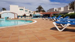 szereg leżaków przy basenie w obiekcie CALIMA Lodge Corralejo w Corralejo