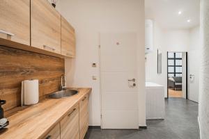 Kuchnia lub aneks kuchenny w obiekcie ZEUS Design Apartments Herz