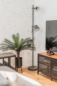 salon z doniczką i telewizorem w obiekcie ZEUS Design Apartments Herz w Wiedniu