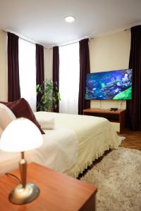 Televízia a/alebo spoločenská miestnosť v ubytovaní Rooms Goga