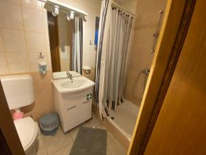 ein Badezimmer mit Toilette, Waschbecken und Dusche in der Unterkunft Apartments Istra Nielsen in Premantura + 38 Fotos