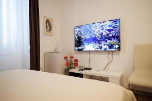 Televízia a/alebo spoločenská miestnosť v ubytovaní Rooms Goga