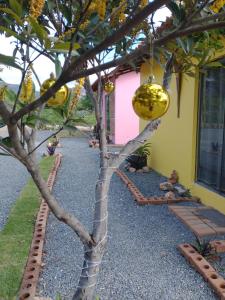 a tree with decorations hanging from the side of a house at Chalés Vila Bela Vale do Capão in Vale do Capao +5 photos