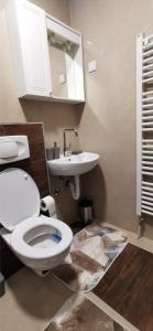 a bathroom with a toilet and a sink at Apartman ALTA in Vlasic