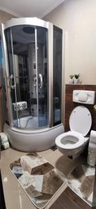 a bathroom with a white toilet and a shower at Apartman ALTA in Vlasic