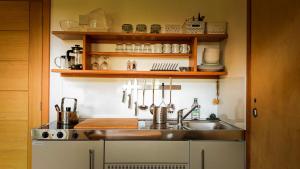 a kitchen with a sink and a counter top at Marcassie Farm Lodges - Hazel Studio in Forres