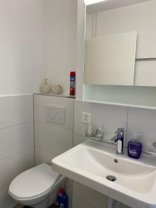 Foto da galeria de City Center Premium Apartment - Buchs SG em Buchs