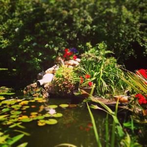 Afbeelding uit fotogalerij van Chambres La Guignardais in Lamballe