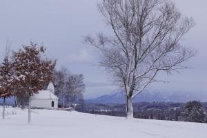 a tree and a white church on a snowy hill at Gemütliches Haus mit Sauna im Voralpenland in Peißenberg