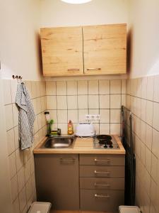 cocina pequeña con fregadero y fogones en Monteurzimmer Apartment Katlenburg-Lindau FairWohnen24 All-Inkl 24h Check-In, en Katlenburg-Lindau