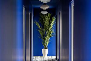 un corridoio blu con una pianta in un vaso bianco di Le Riviera Collection, Signature Collection by Best Western a Nizza