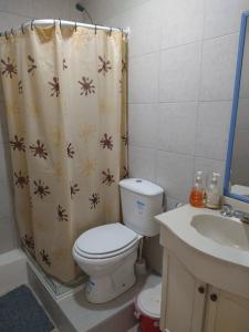 a bathroom with a toilet and a shower curtain at Departamentos Fuentes in Cipolletti