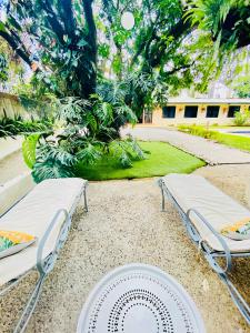 two beds in a courtyard with a tree at Hotel Mango Airport in Alajuela
