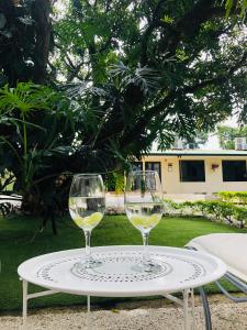 two glasses of white wine sitting on a table at Hotel Mango Airport in Alajuela