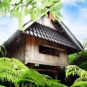 una casa sull'albero con tetto di paglia in una foresta di Bali Mountain Retreat a Selemadeg