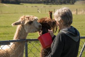 Tiere im Ferienhaus oder in der Nähe