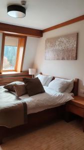 a bedroom with a large bed and a window at Apartment B513 in Jahorina