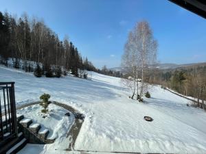 a snow covered field with trees in the distance at Apartamenty Carpe Diem in Ustroń