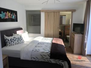 sypialnia z łóżkiem i telewizorem z płaskim ekranem w obiekcie Apartamenty Carpe Diem w Ustroniu