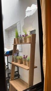 a shelf with potted plants on it in a room at Vila Bandungan in Bandungan +3 photos