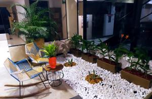 Zahrada ubytování Hotel Milla de Oro Uraba
