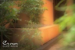 Fotografie z fotogalerie ubytování Crown Guest House v destinaci Ambarawa