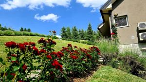 a garden with red flowers next to a house at Apartmani Sanja in Krapinske Toplice