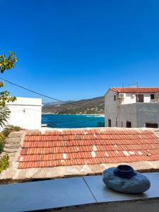 Naturlandskabet i nærheden af lejligheden