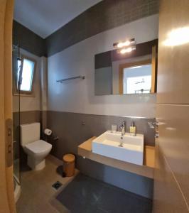 ein Badezimmer mit Waschbecken, Toilette und Spiegel in der Unterkunft Skiathos Lagoterra Apartments in Skiathos-Stadt