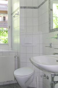 マイヤーホーフェンにあるApartment Rauter - MHO127 by Interhomeの白いバスルーム(洗面台、トイレ付)