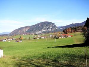 a field of green grass with mountains in the background at Chalet Amberg by Interhome in Schwoich