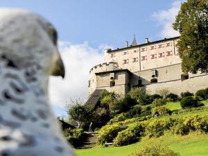 a horse looking at a large building on a hill at Apartment Edelweiss-2 by Interhome in Werfenweng