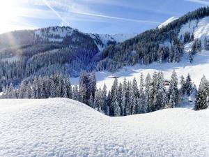 Το Holiday Home Berghaus by Interhome τον χειμώνα