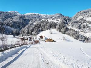 una carretera cubierta de nieve con una montaña en el fondo en Holiday Home Baggenhof by Interhome, en Laimach