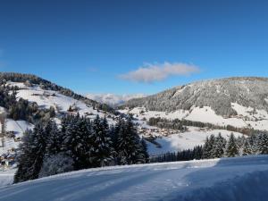 Γενική θέα στο βουνό ή θέα στο βουνό από  αυτό το διαμέρισμα