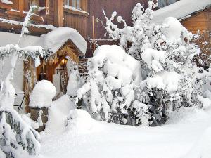 a snow covered tree in front of a house at Apartment Helmreich-4 by Interhome in Sankt Gallenkirch