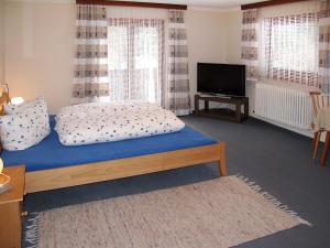 una camera da letto con un letto e una TV a schermo piatto di Apartment Babsi by Interhome a Ginzling