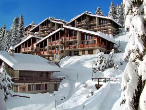 un lodge de esquí en la nieve con árboles nevados en Apartment Les Arsets 301-11 by Interhome, en Arveyes