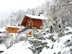 Chalet Les Clarines by Interhome talvel