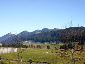 une personne debout dans un champ avec des montagnes en arrière-plan dans l'établissement Apartment Les Grangettes by Interhome, à Auberson