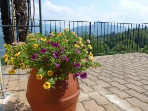 a large pot filled with flowers on a balcony at Apartment al Ronchetto by Interhome in Carona